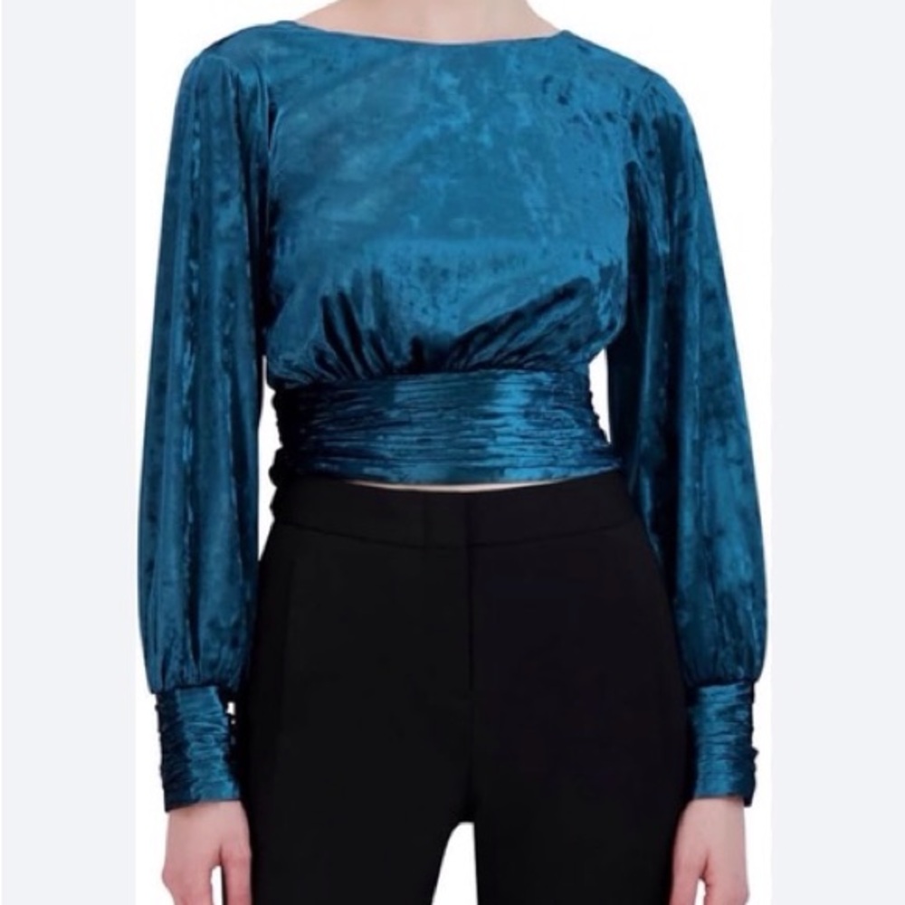 BCBGMaxAzria velvet Blouse